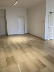 Tanglin Park (D10), Condominium #575735301
